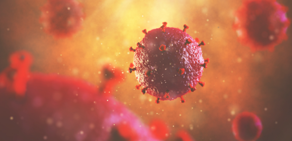 Orange County Chamber of Commerce