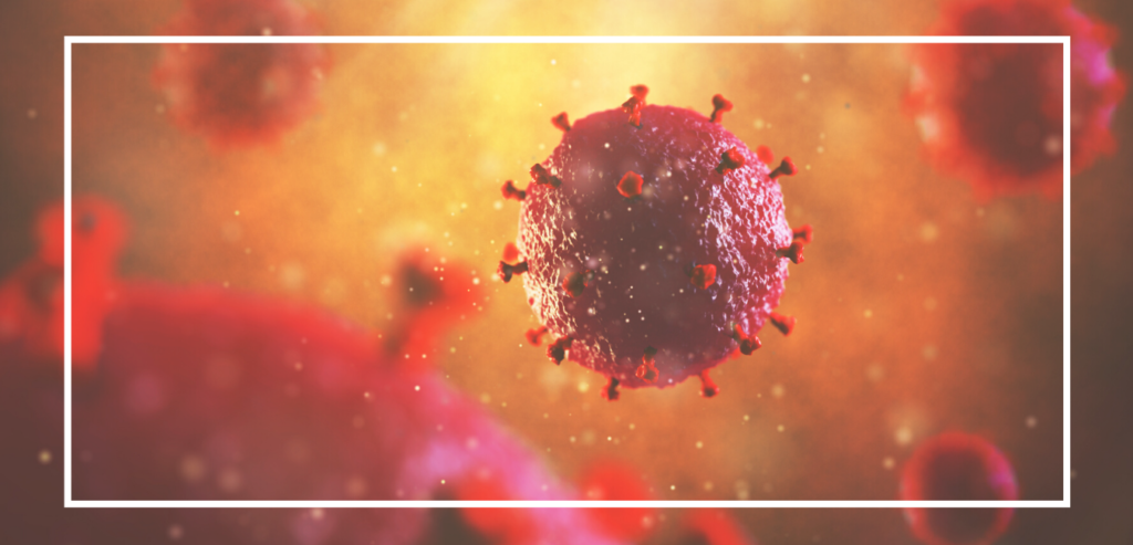 Orange County Chamber of Commerce