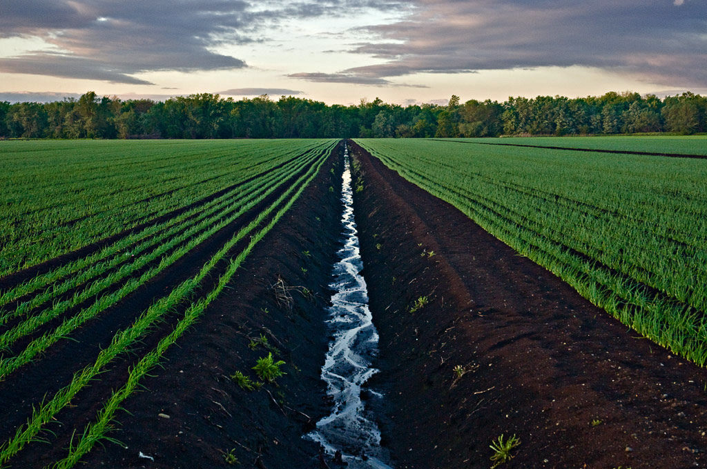 Orange County Chamber of Commerce