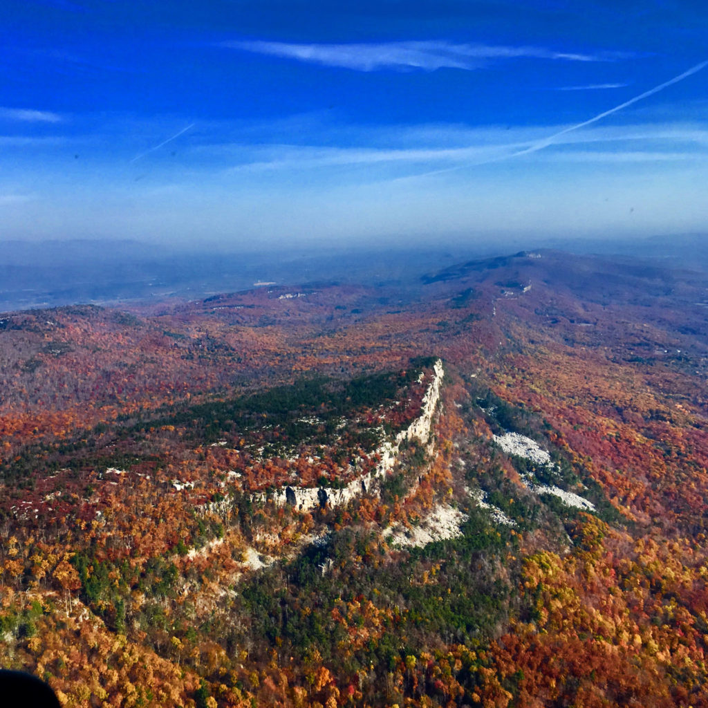 Orange County Chamber of Commerce